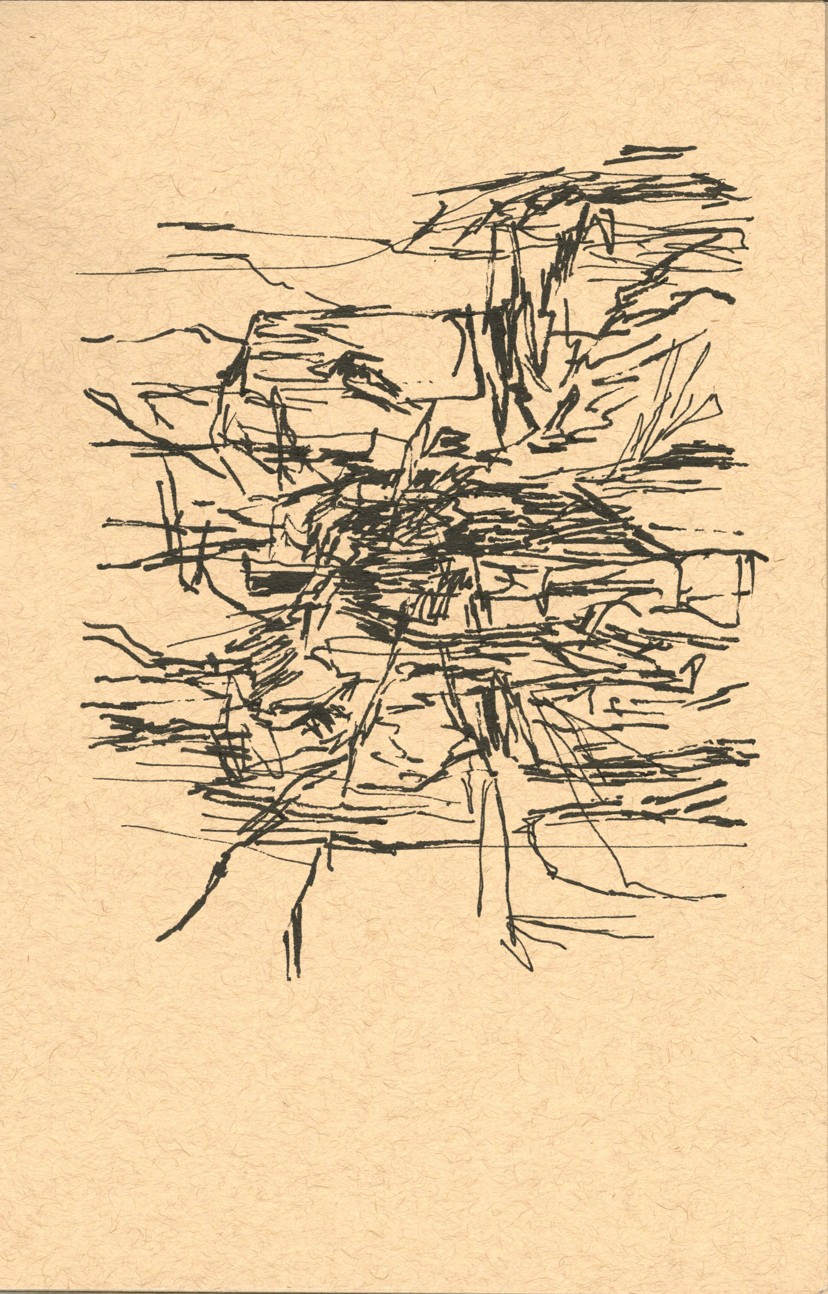 Drawing Inamig Ink Drawings – abe shriner